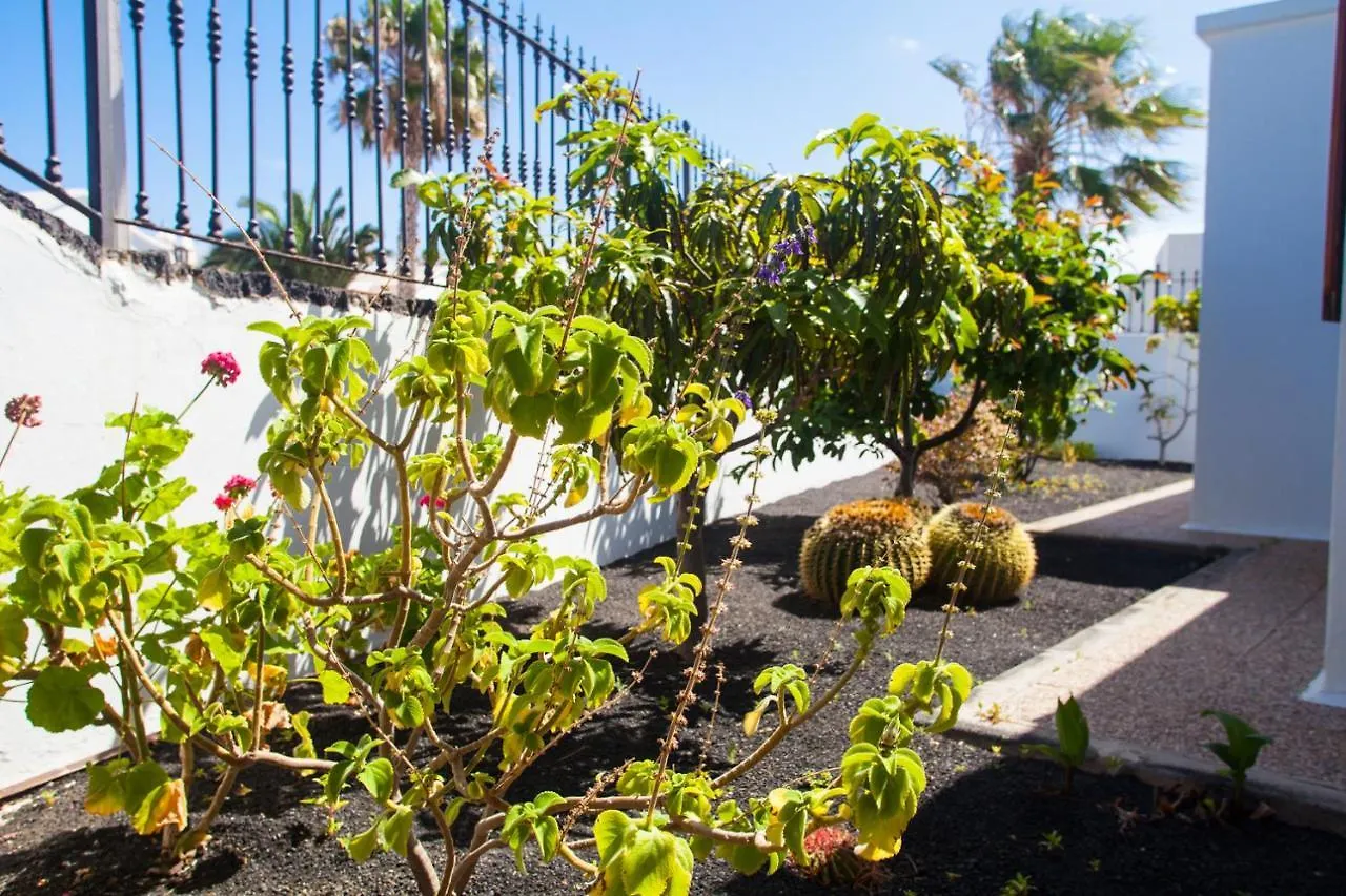 Alizuth Villa Puerto del Carmen  Puerto del Carmen (Lanzarote)